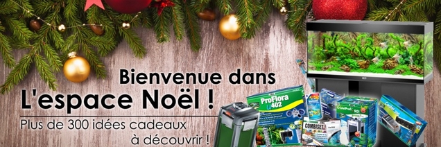 espace-noel
